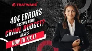 Fixing Crawl Errors and Crawl Budget