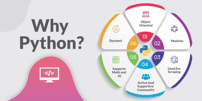 Python Web Development for Automation