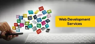 Professional Website Developer