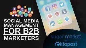 Best Social Media Platforms for B2B Marketing